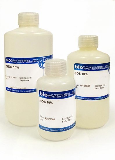 SDS 10%, in DEPC water