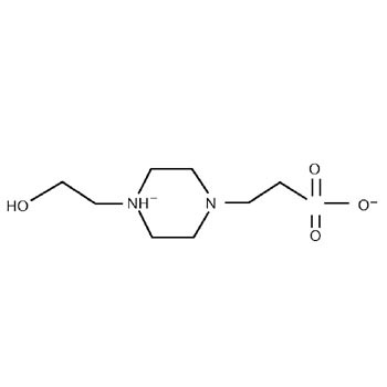 HEPES Buffer 1M, pH 7.4, DNase, RNase, and Protease Free