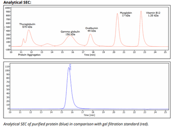 CTLA-4 mAb (9H10), InVivoPure