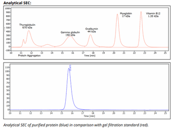 CTLA-4 mAb (9H10), InVivoPure+