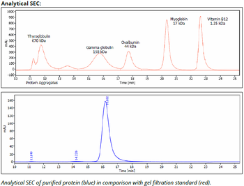 Rat IgG1a Isotype control, InVivoPure+
