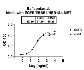 Recombinant Human MET/c-Met/HGFR Protein, C-His