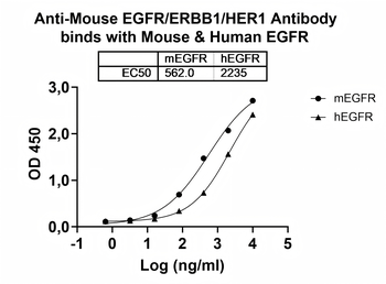 Recombinant Human EGFR/ERBB1/HER1 Protein, C-His
