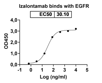 Recombinant Human EGFR/ERBB1/HER1 Protein, C-His