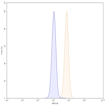 CSF2/GM-CSF Human Monoclonal Antibody