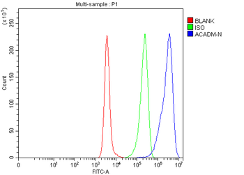 ACADM/MCAD Rabbit Polyclonal Antibody