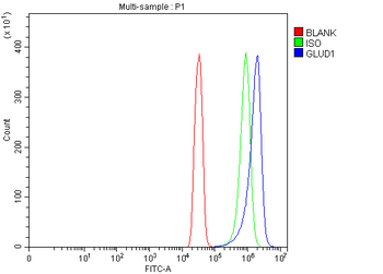 GLUD1/2 Rabbit Polyclonal Antibody