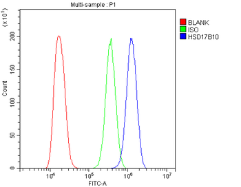 ERAB/HSD17B10 Rabbit Polyclonal Antibody