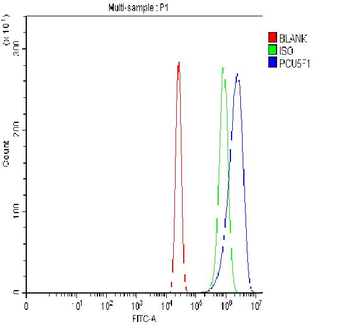 Oct4/POU5F1 Rabbit Polyclonal Antibody