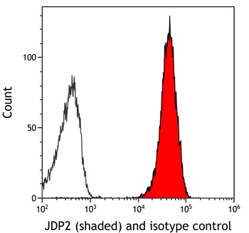 Rabbit JDP2 Recombinant Monoclonal Antibody
