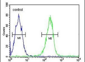 DTX1 Rabbit Polyclonal Antibody