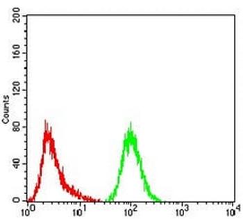 GFAT Mouse Monoclonal Antibody