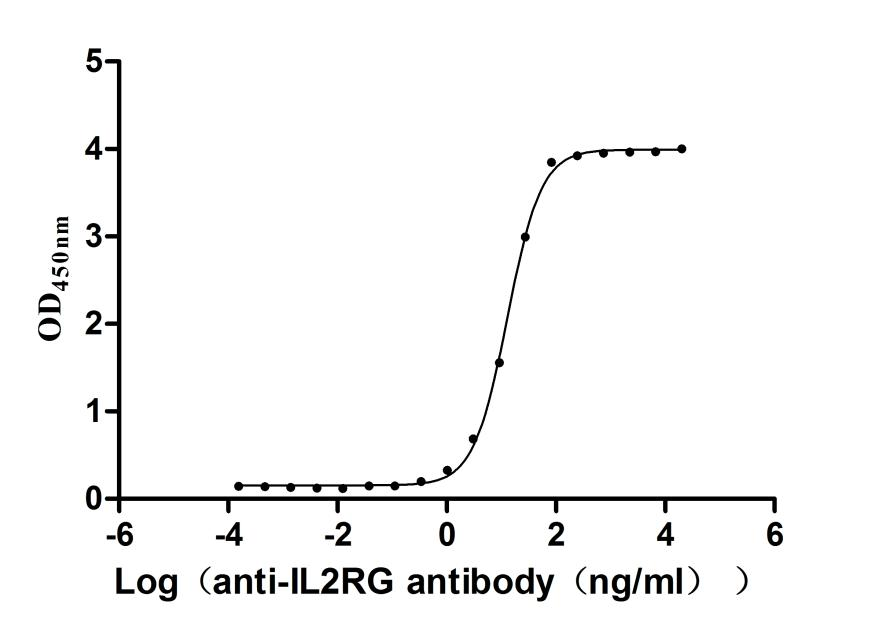 Recombinant Human Cytokine receptor common subunit gamma (IL2RG), partial (Active)