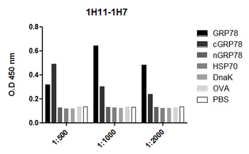 GRP78 Antibody (APC)