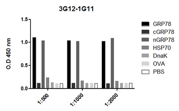 GRP78 Antibody (APC)