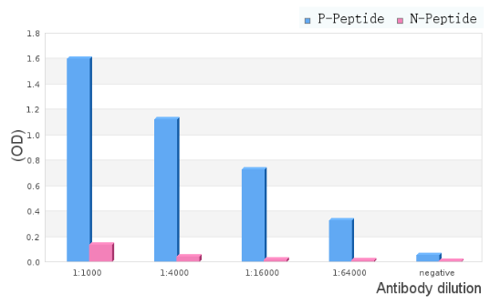 Phospho-pan-AKT1/2/3 (Ser473) Antibody