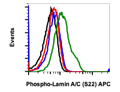 Phospho-Lamin A/C (Ser22) (CF12) rabbit mAb APC conjugate Antibody