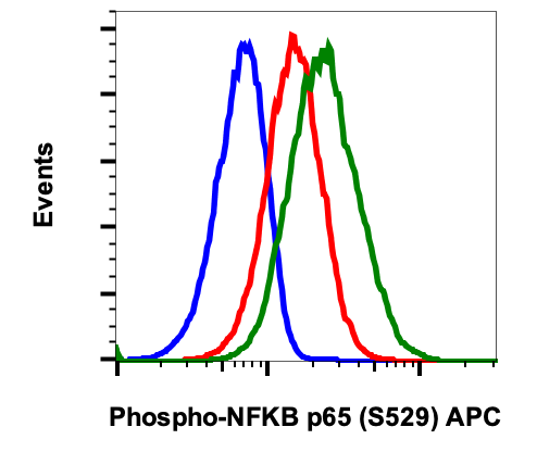 Phospho-NFkB p65 (Ser529) (H3) rabbit mAb APC conjugate Antibody