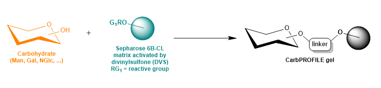 schema gel carbprofile