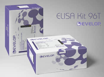 Rat Epidermal Growth Factor Receptor (EGFR) ELISA Kit