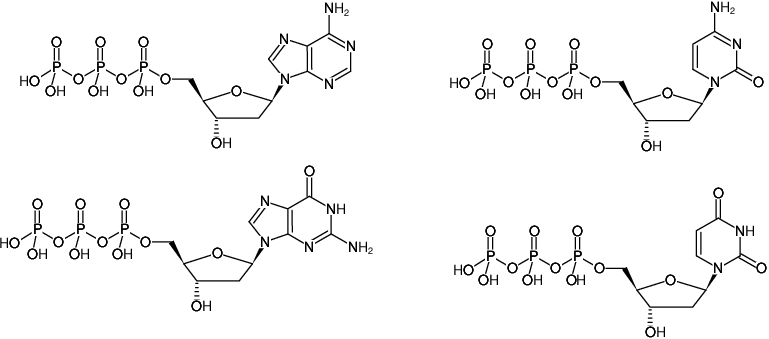 Structural formula of dNTP Mix dUTP - Solution (Premix of 10 mM dATP, dCTP, dGTP and 20 mM dUTP, 2'-Deoxyadenosine-5'-triphosphate, Sodium salt; 2'-Deoxycytidine-5'-triphosphate, Sodium salt; 2'-Deoxyguanosine-5'-triphosphate, Sodium salt; 2'-Deoxyuridine-5'-triphosphate, Sodium salt)