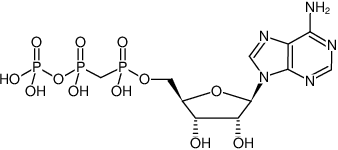 Structural formula of ApCpp ((AMPCPP), Adenosine-5'-[(α,β)-methyleno]triphosphate, Sodium salt)
