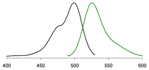 Excitation (black) and emission (green) spectrum of InfiniteGreen bound to dsDNA in PBS buffer (pH 7.3)