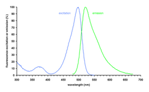 Excitation (blue) and emission (green) spectrum of green-fluorescent DNA stain bound to dsDNA