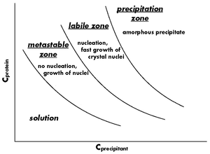 Schematic phase diagram of a protein/precipitant mixture.
