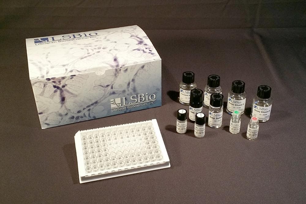 Mouse Leptin ELISA Kit (CLIA)