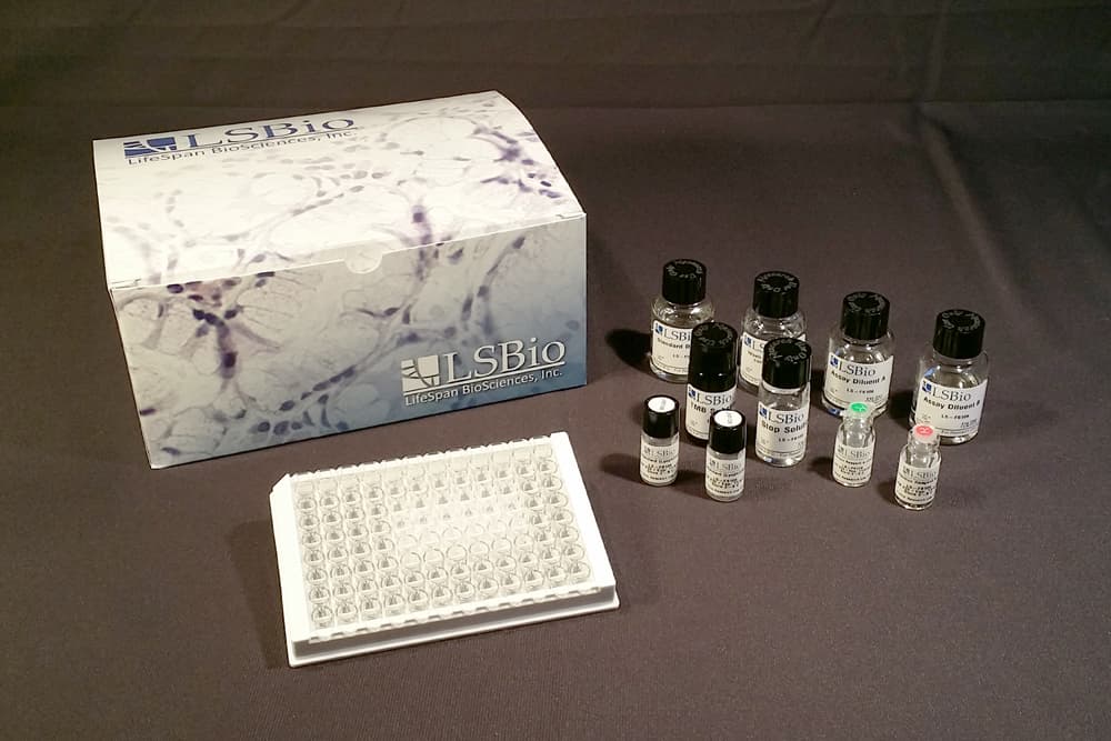 Goat TIMP3 ELISA Kit (CLIA)