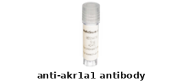 Rabbit Anti-AKR1A1 Polyclonal Antibody – Cat# MBS8422328