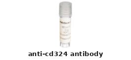 Mouse Anti-CD324 Monoclonal Antibody – Cat# MBS1800265