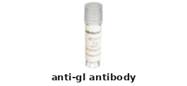 Rabbit Anti-gL Polyclonal Antibody – Cat# MBS1498084
