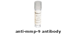 Mouse Anti-MMP-9 Monoclonal Antibody – Cat# MBS6268973