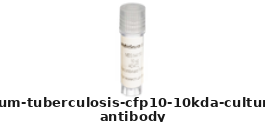 Mouse Anti-Mycobacterium Tuberculosis CFP10 (10kDa Culture Filtrate Protein) Monoclonal Antibody – Cat# MBS312553