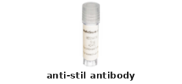 Rabbit Anti-STIL Polyclonal Antibody – Cat# MBS8557478