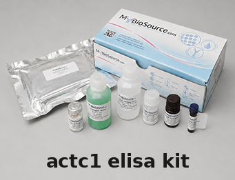 Rat ACTC1 ELISA Kit – Cat# MBS7242884