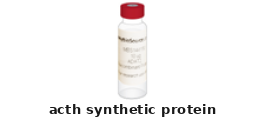 ACTH Synthetic Protein – Cat# MBS142672