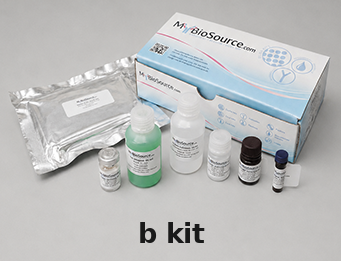 Kit – Cat# MBS2578424