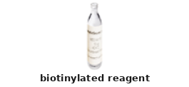 Biotinylated Reagent – Cat# MBS2578515