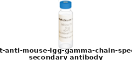 Goat Anti-Mouse IgG (Gamma Chain Specific) Polyclonal Secondary Antibody – Cat# MBS674383
