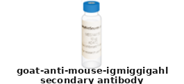 Goat Anti-Mouse IgM+IgG+IgA(h+l) Polyclonal Secondary Antibody – Cat# MBS674340