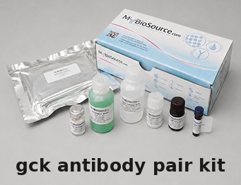 Mouse GCK Antibody Pair Kit – Cat# MBS2099276