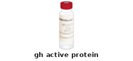 GH Active Protein – Cat# MBS382007