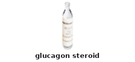 Glucagon Steroid – Cat# MBS639077