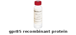 Danio Rerio gpr85 Recombinant Protein – Cat# MBS7016261