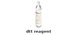 DTT Reagent – Cat# MBS355554