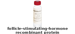 Human Recombinant Protein – Cat# MBS5316655