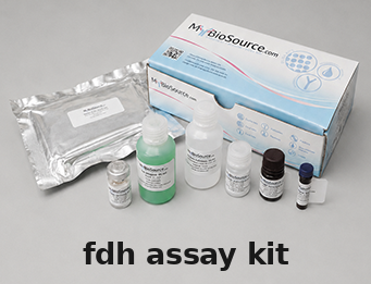 FDH Assay Kit – Cat# MBS9719639
